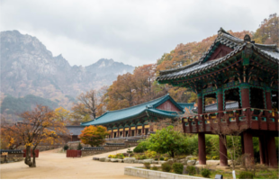 suwon-si-to-seoraksan-national-park